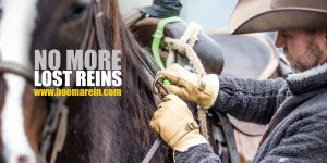 Horse Reins for Sale